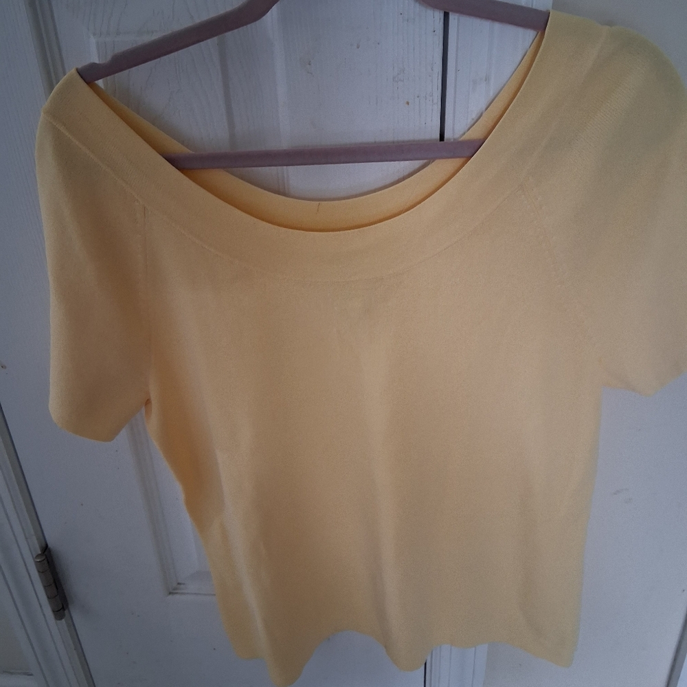 Talbots Soft Yellow Shirt Petite Size X